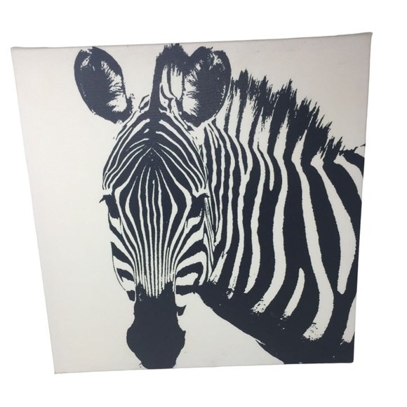 Fun Zebra Canvas Print 19.5" x 19.5" (Square) - Bold Art Piece - Picture 1 of 5